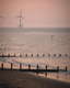 Wind Kracht