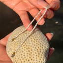 Pulsera de perla silvestre: hecha a mano