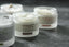 Protocell Bio-Active Stem Cell Combat Cream | 50 ml